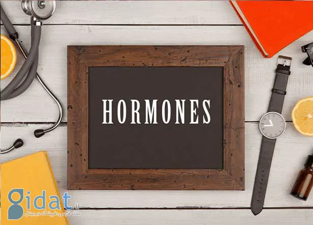 چگونه هورمون های خود را بشناسیم؟