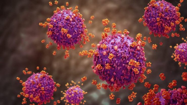 ویروس HIV هنگام درمان ضد ویروسی درون سلول های مغز پنهان می شود