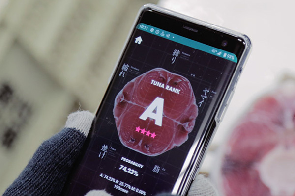 توسعه اپلیکیشنی که با هوش مصنوعی به کیفیت ماهی تن امتیاز می دهد