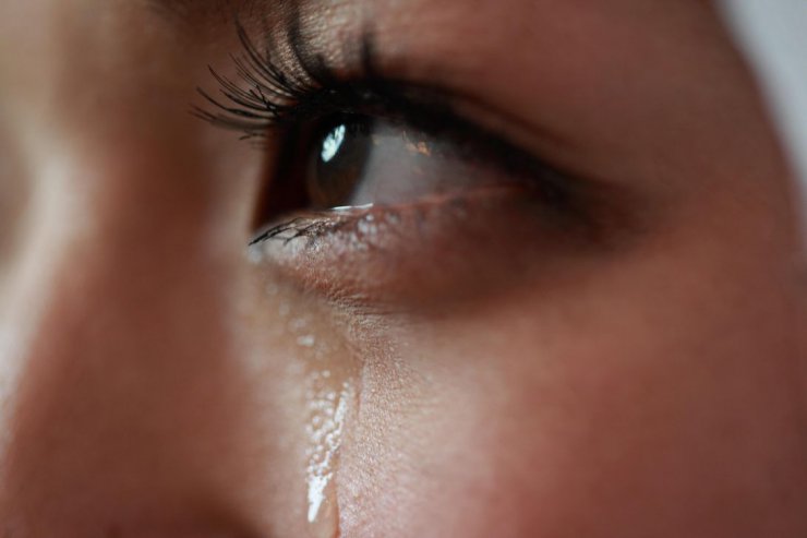 محققان هلندی موفق به تولید غده اشک چشم در آزمایشگاه شدند