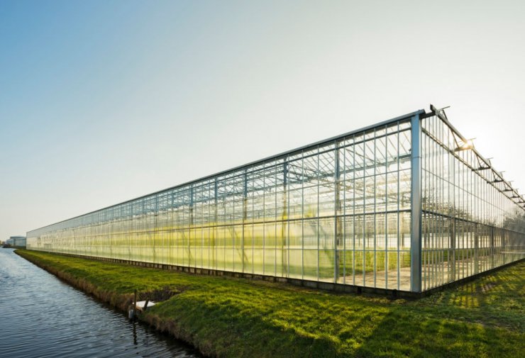 تحقیقی جدید: پنل خورشیدی نیمه شفاف در گلخانه ها تاثیری روی رشد گیاهان ندارد
