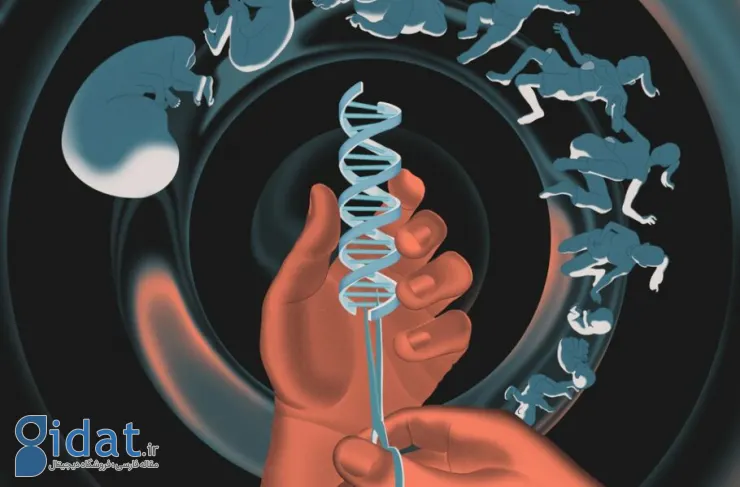 مطالعه جدید: ژن‌های قدرت می‌توانند از ما دربرابر بیماری و مرگ زودرس محافظت کنند
