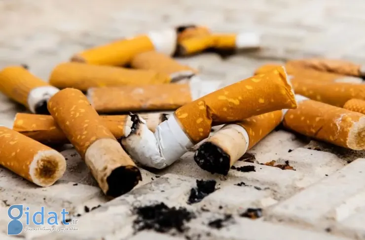 دستاورد محققان چینی: تبدیل ته سیگار به منبعی کارآمد برای ذخیره انرژی