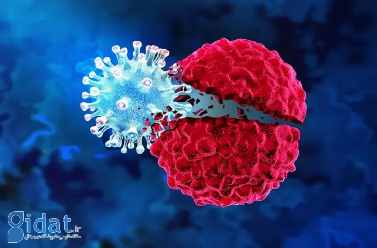 ایده محققان ایرانی در کانادا: مهندسی باکتری‌های ویژه‌ای که تومورها را از داخل می‌خورند