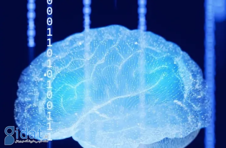 کنترل خودخواهی؟ دانشمندان با شوک الکتریکی به مغز، انسان‌ها را بخشنده‌تر کردند