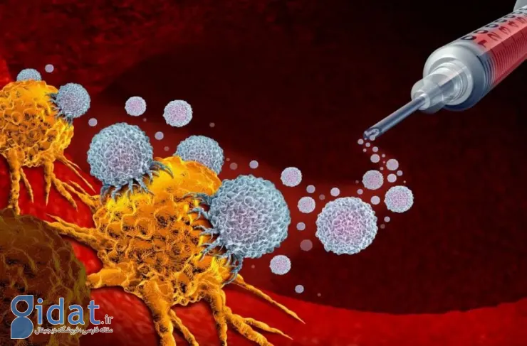 واکسن سرطان محققان MIT در آزمایشات بالینی فاز اول امیدوارکننده به نظر می رسد