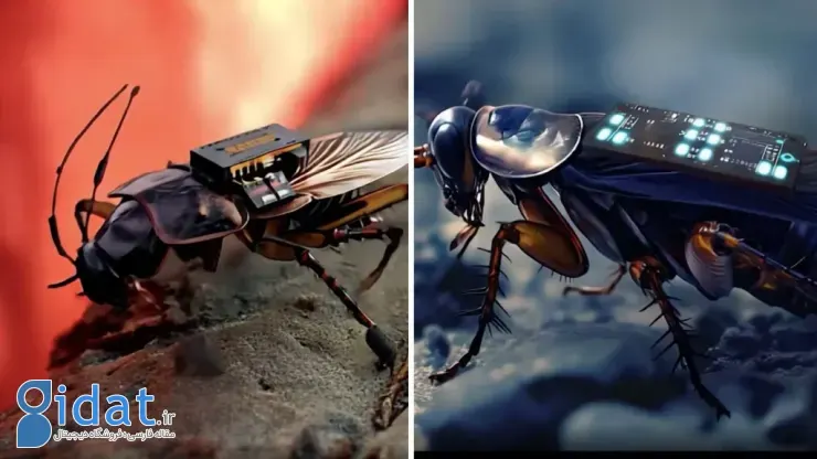 سوسک سایبورگ