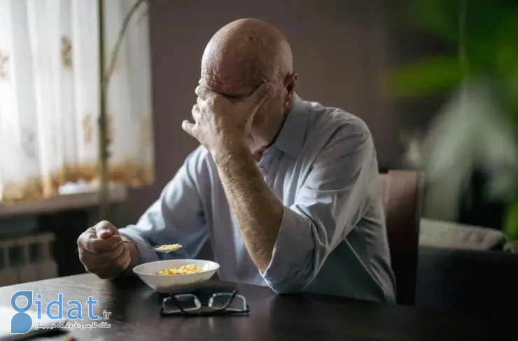 تحقیقات جدید: غذا خوردن به تنهایی می‌تواند برای افراد مسن خطرناک باشد