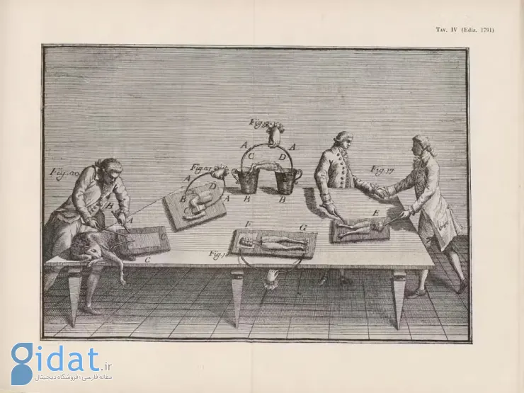 فرانکنشتاین