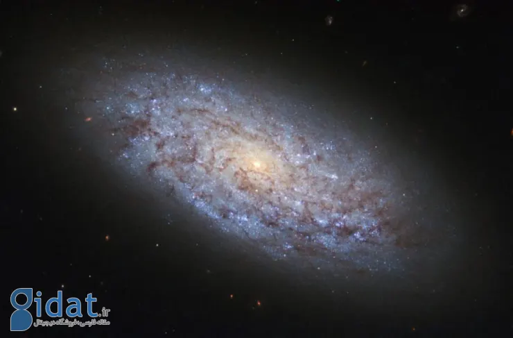 تلسکوپ هابل تصویری ترسناک از یک کهکشان کوتوله در همسایگی ما منتشر کرده است