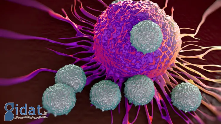ویروس HIV