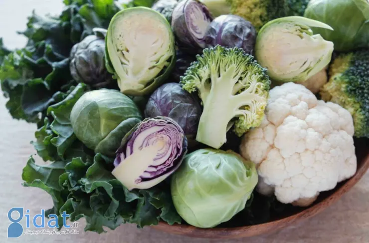 مولکول های موجود در سبزیجات می توانند به کاهش عفونت ریه کمک کنند