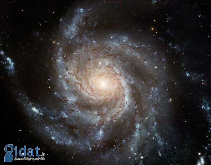 تصویر روز ناسا: مسیه 101