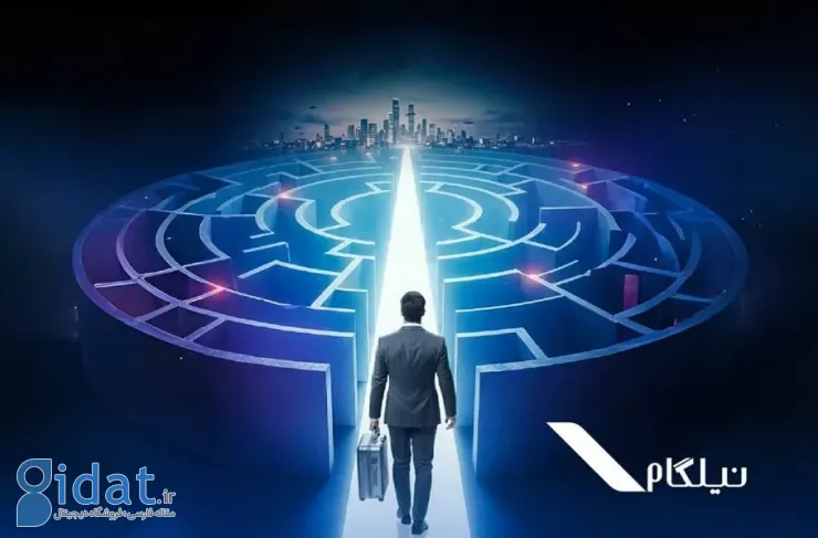 بیش از نیمی از متقاضیان نیلگام ویزا دریافت می‌کنند