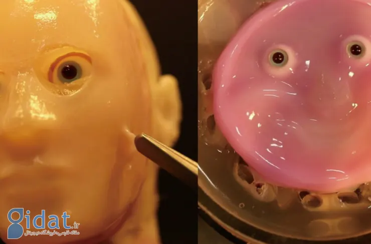 دستاورد جدید دانشمندان ژاپنی: چهره‌های واقعی‌تر روبات‌ها با پوست زنده [تماشا کنید]