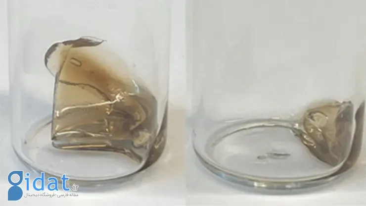 پلاستیک قابل‌تجزیه 