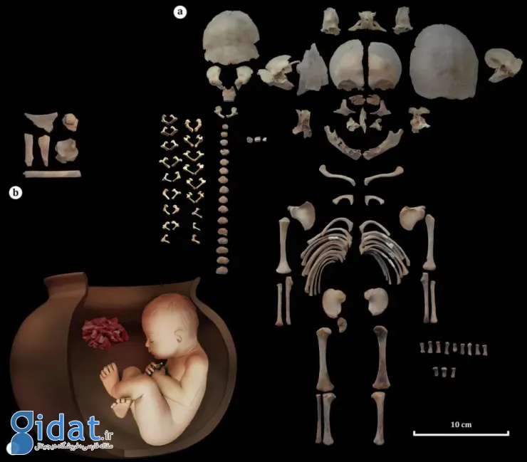 کشف دو جنین ۶۵۰۰ ساله در چپرآباد ایران