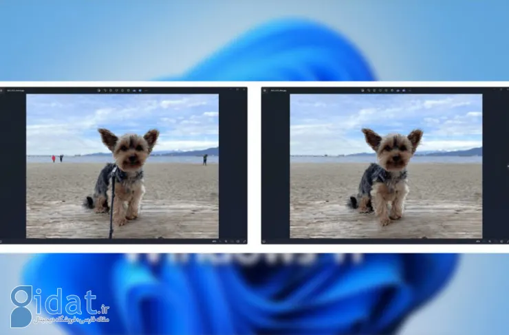 مایکروسافت قابلیت حذف اشیاء و اشخاص یک تصویر را به ویندوز 11 اضافه کرد