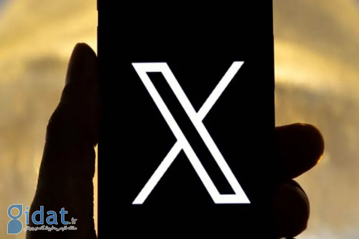 ایکس ظاهراً نیمی از تیم صداقت انتخاباتی خود را اخراج کرده است