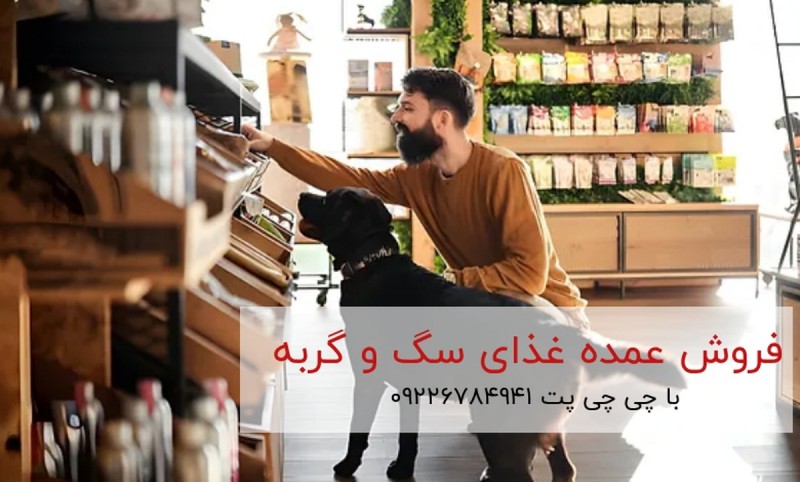 خرید تشویقی سگ