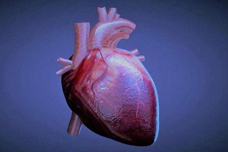 پیوند ماهیچه های قلب رشدیافته در آزمایشگاه به انسان