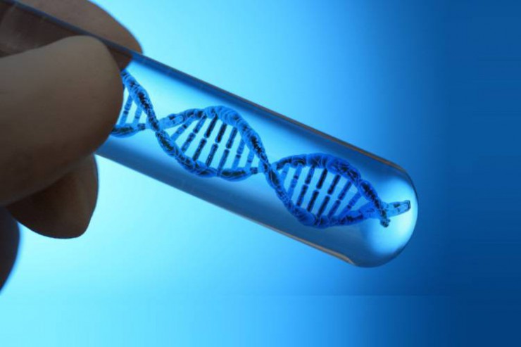 ساخت ژنوم مصنوعی که خود را تکثیر می کند