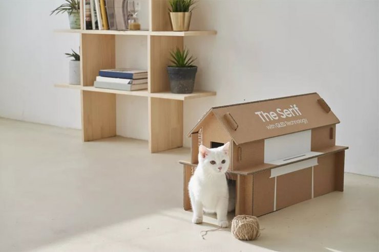از جعبه ی تلوزیون های جدید سامسونگ می توان برای گربه ها لانه ساخت