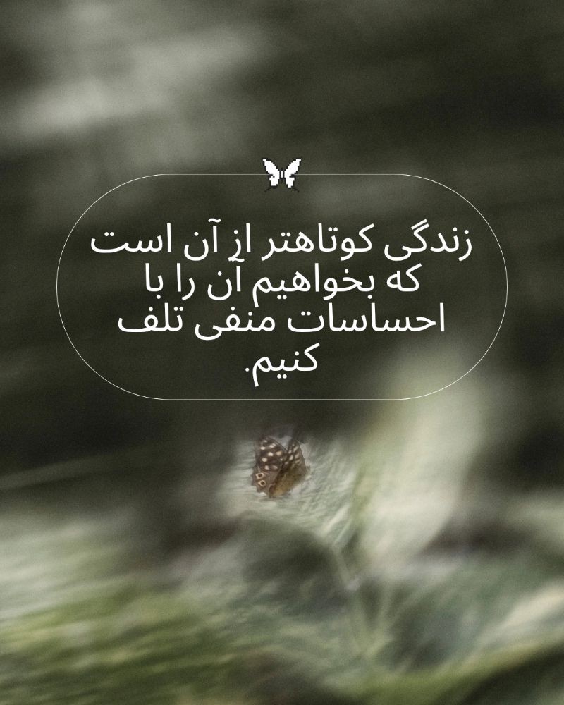 زندگی و احساسات در یک بیت شعر کوتاه