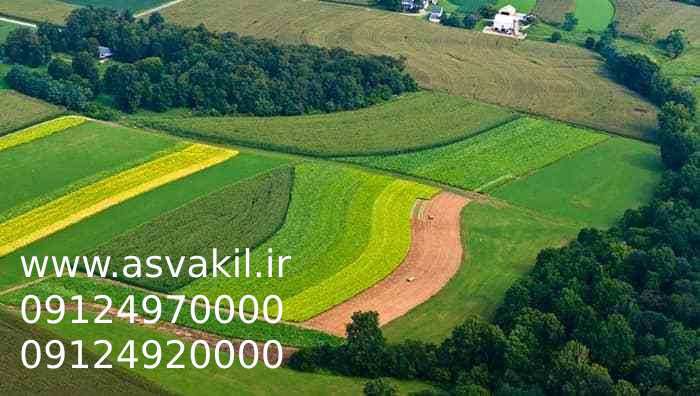 واگذاری اراضی ملی؛ از شرایط دریافت مجوز تا ممنوعیت‌ها و تغییرات مهم سال‌های اخیر