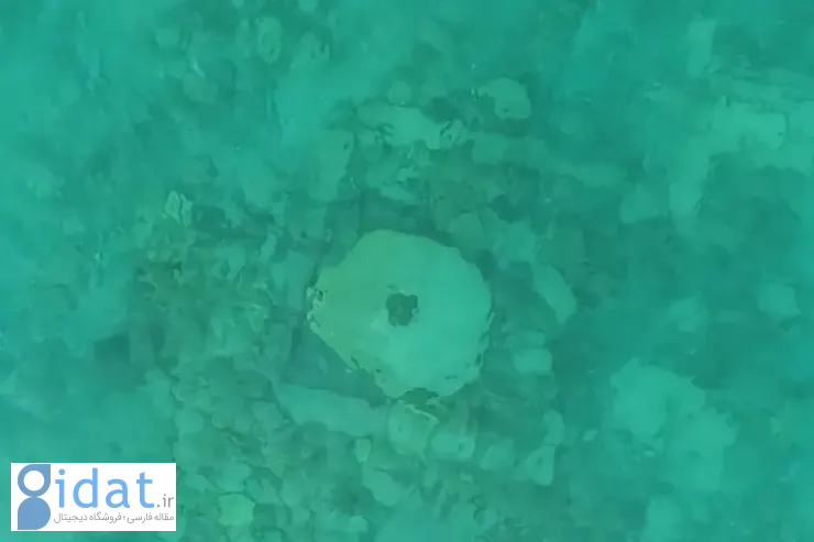 0901-6918231c6d64c1c6d9597bf4_11zon