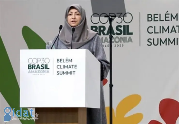 جنجال بر سر درخواست ۵۰ میلیارد روپیه‌ای شینا انصاری برای سفر به برزیل!