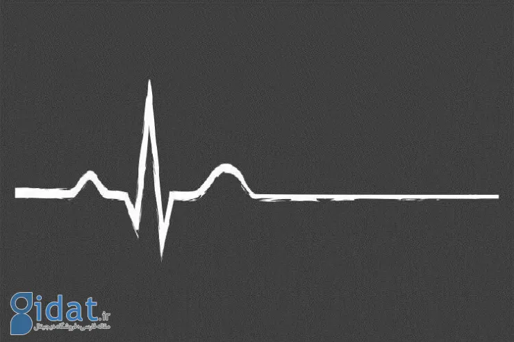 مرگ مرموز دو دختر در خانه پسر غریبه