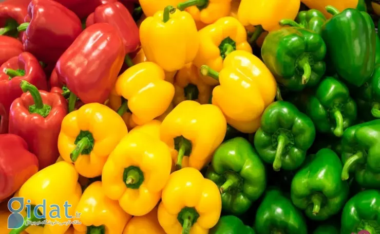 این سبزی رنگارنگ منبع ویتامین C است