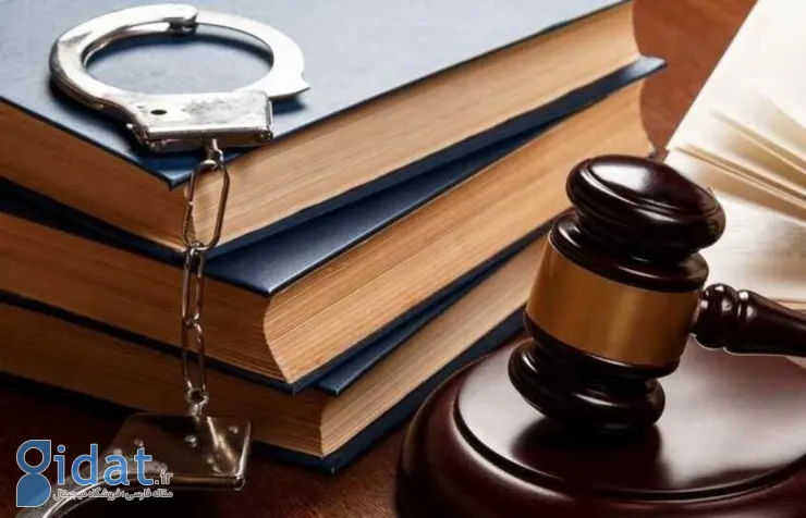 نرگس محمدی در مشهد بازداشت شد