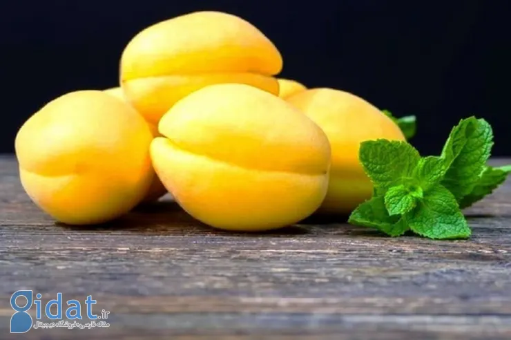 9 غذا و میوه ای که آهن بدن را تامین می کند