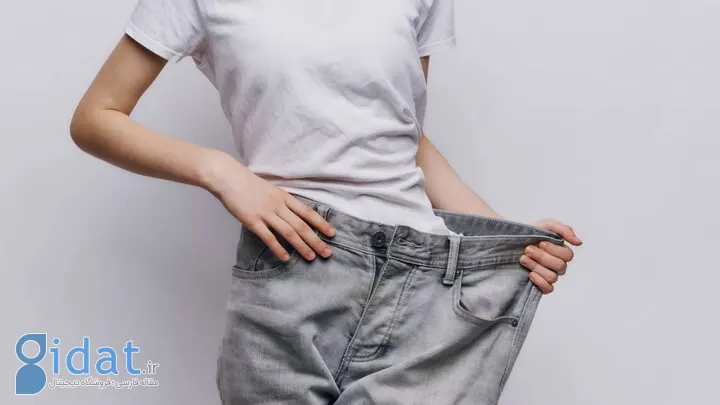 ۵ غذای گیاهی برای داشتن شکمی صاف
