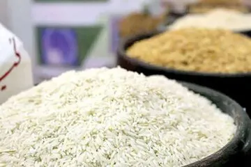 مقصر برنج 250 هزار تومانی پیدا شد