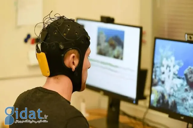 کاهش سن ابتلا به اختلالات شناختی به ۴۰ سال