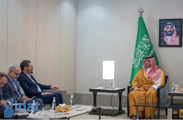 رئیس سازمان حج ایران با وزیر کشور عربستان دیدار کرد