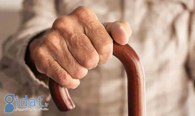 افزایش دمای هوا، تهدیدی جدی برای سلامت سالمندان