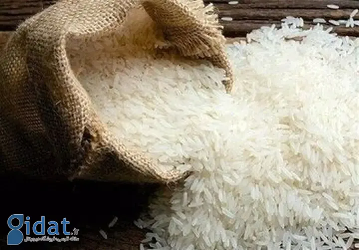 بازار برنج به سد دلار خورد!