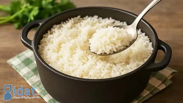 برای لاغری فرنی برنج درست کنیم یا آبکش کنیم؟