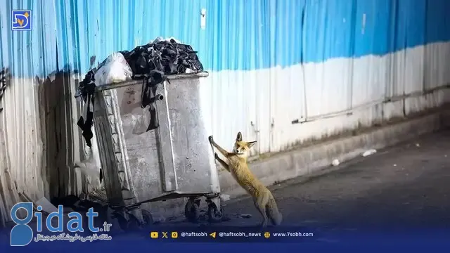 هشدار در مورد شیوع یک انگل خطرناک