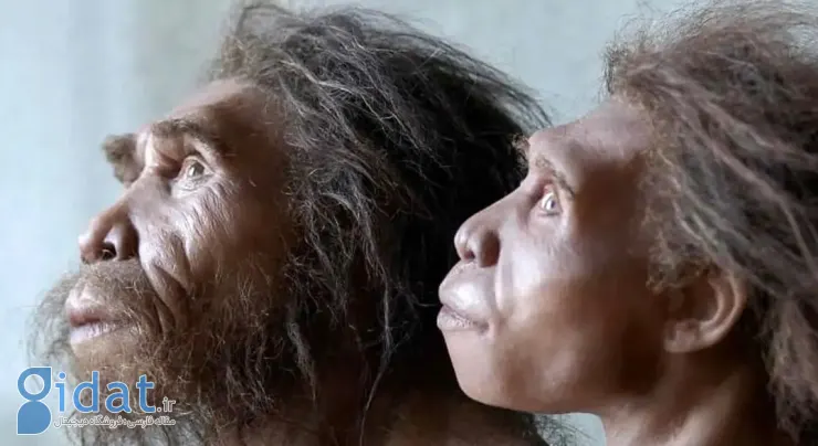 نئاندرتال‌ها هنوز زنده هستند، اما توسط انسان‌های مدرن جذب شده‌اند