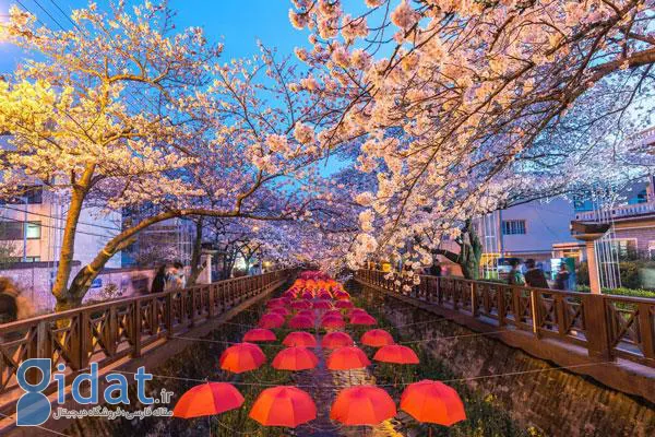 جاهای دیدنی کره جنوبی کجاست؟ راهنمای کامل بهترین جاذبه‌های گردشگری
