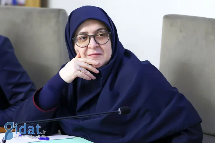 سخنان مهم سخنگوی دولت در خصوص به تعویق افتادن مذاکرات