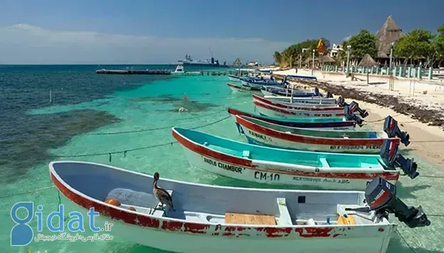 ساحل مرجان کیش