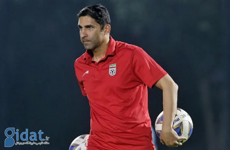 هاشمیان: از پرسپولیس پیشنهادی ندارم