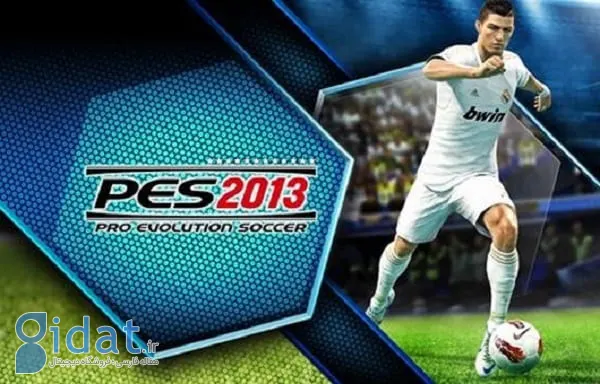 Pes-2013