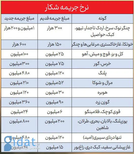 شغلی غیرقانونی اما پرسود در ایران